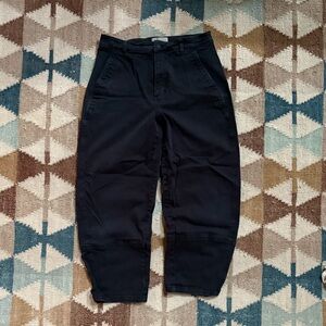 Everlane Barrel Leg Pant